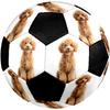 Cute Puppy Indoor Size 5 Soccer Ball Colorful Machine Stitched PVC Competition Ready Durable High-Bounce