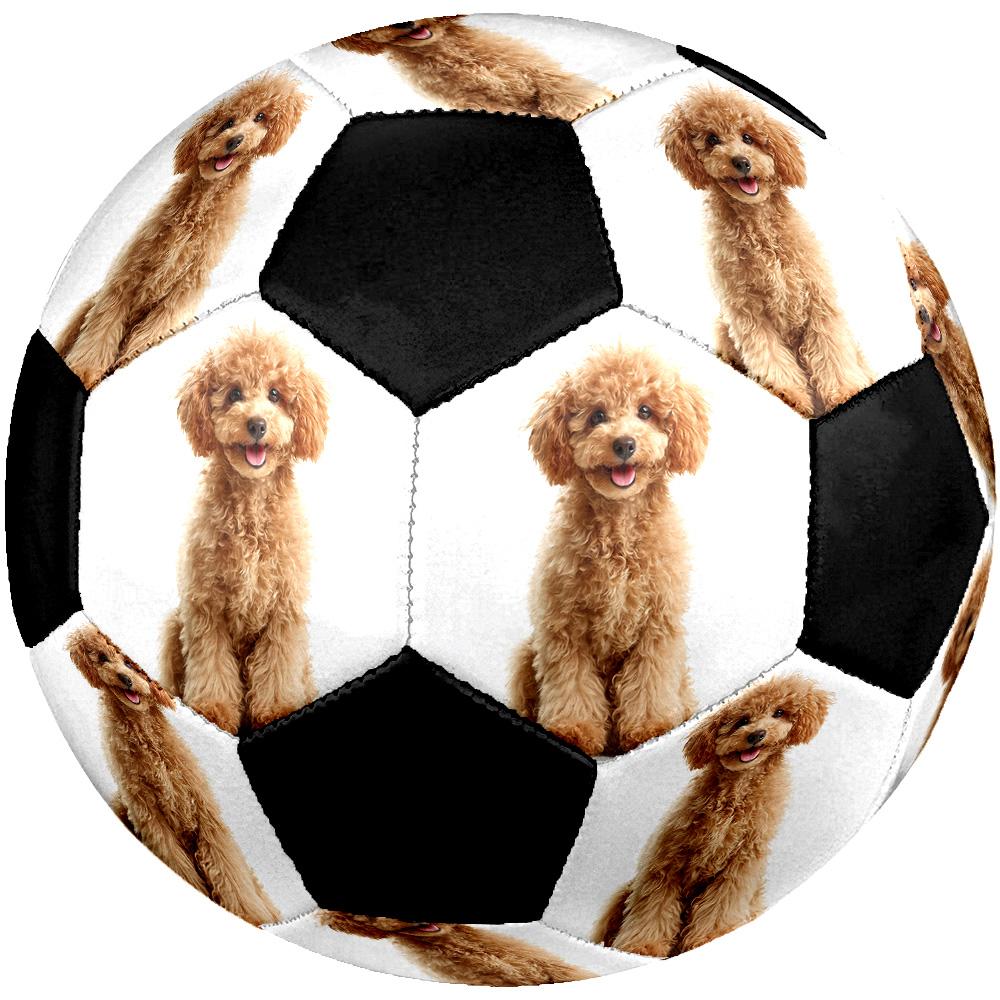 Cute Puppy Indoor Size 5 Soccer Ball Colorful Machine Stitched PVC Competition Ready Durable High-Bounce