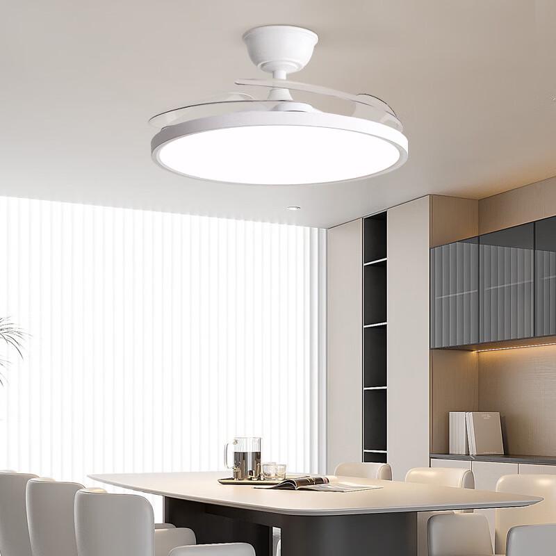 Nu Feng Full Spectrum LED Ceiling Fan with Light