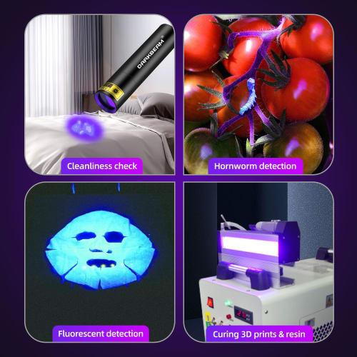 DARKBEAM UV Flashlight, 395nm Light Blacklight, Mini but Powerful Wood's Lamp USB-C Rechargeable LED Ultraviolet Flashlight for Pocket Pet Urine Detec