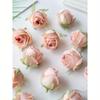 10 Pezzi Testa e Bocciolo di Rosa Artificiale Decorazione Matrimonio Fiore da Polso Sposa Fiore da Tenere in Mano Testa di Fiore Materiale Floreale Fai da Te Regalo San Valentino Matrimonio