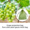 10pcs Bird And Insect Proof Fruit Mesh Bag, Breathable And Transparent Bundle Mouth Protective Cover, Specialized Bag For Gardening Fruit Trees