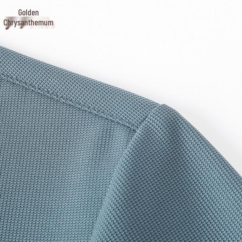 Men's Lightweight Lapel Polo T-shirt