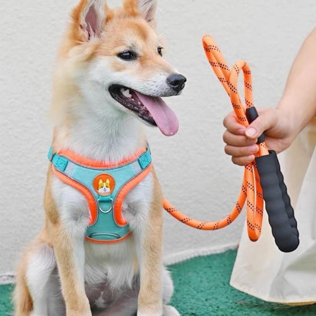 Hundeleine im Westen-Stil: Anti-Choke für kleine bis mittelgroße Rassen wie Französische Bulldoggen, Corgis und Teddyhunde