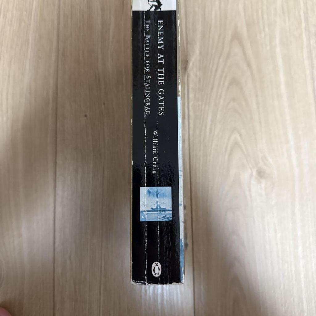 [GEBRAUCHT] Duell - Enemy at the Gates: Stalingrad (Vereinigtes Königreich) Englisches Buch