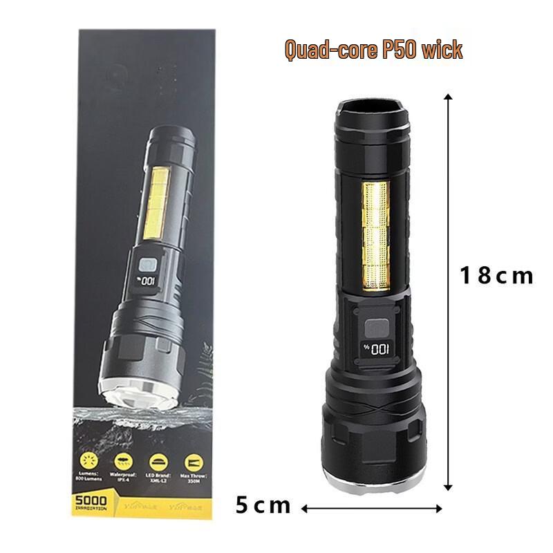 WGP Diverse Collection: Lighting, Grooming & More