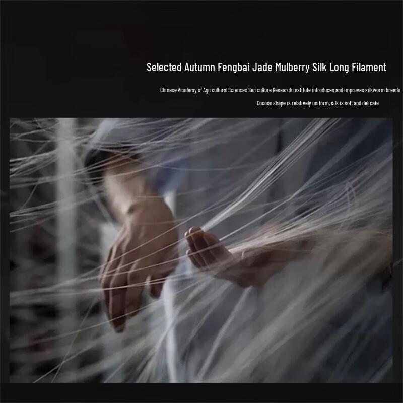 Mercury 100% Mulberry Silk Four Seasons Two-in-One Quilt