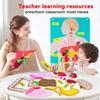 Non-Toxic Human Body Parts Felt Board Stories For Kids Montessori Toys Sensory Activities Teaching Daycare Preschool Learning Educational
