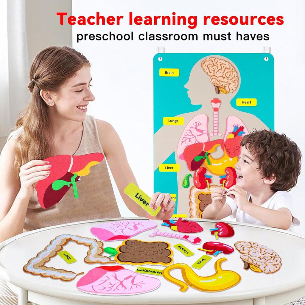 Non-Toxic Human Body Parts Felt Board Stories For Kids Montessori Toys Sensory Activities Teaching Daycare Preschool Learning Educational