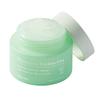 Houttuynia Cordata Cica Cooling Moisture Cream – Soothing & Cooling Hydration (100ml)