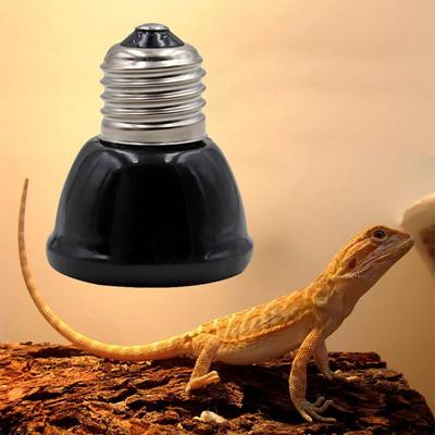 Reptielen – Reptielen benodigdheden