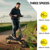 iENYRID ES1 Electric Scooter, 250W*2 Motor, 48V 20.8Ah Battery, 10 Inch Off-Road Tires, 25km/h Max Speed