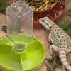 Multi Tiered Automatic Reptiles Water Dispenser Multifunctional Design Transparent Tanks Quiet Pump for Small Turtles
