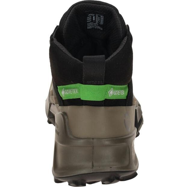 Ботинки Ecco Biom 2.1 Mountain Mid GTX