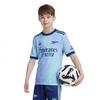 Childrens/Kids 2024/2025 Mini Third Kit