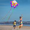 Pair of Butterfly Kites, Butterfly Style, Purple, for Adults and Teenagers, Ideal for Beginners, Easy To Assemble and Operate, Includes Storage Bag,
