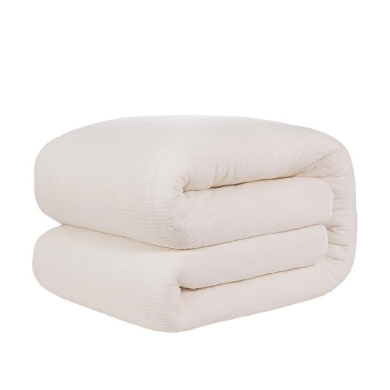 Jinxi Xinjiang Cotton Quilt