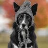 Warm Pet Dog Knitted Hat Small Dog Hat Winter Dog Hat With Ears