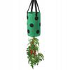 Hanging Pot Bag Chicken Tomatoes Strawberries Strawberries Pockets 35