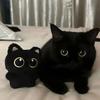 Scarf Included Big-Eyed Black Cat Lucky Keyring Cute Gift Cat Doll Bag Charm