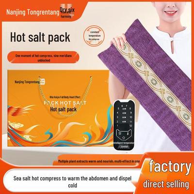 Electric Heating Sea Salt Hot Compress for Waist Support with Mugwort Moxibustion.