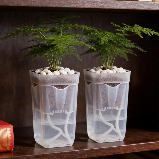 Mini Zelfwaterende Potten met Lont, Transparante Plastic Bloempotten met Drainagegaten & Waterniveau-indicator voor Kamerplanten Vermeerdering Zaaien