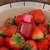 FWEE 3D Volumierender Lippenstift 3,8g