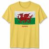 Wales Cymru Welsh Flag Unisex Tshirt Patriotic Welsh Pride Apparel