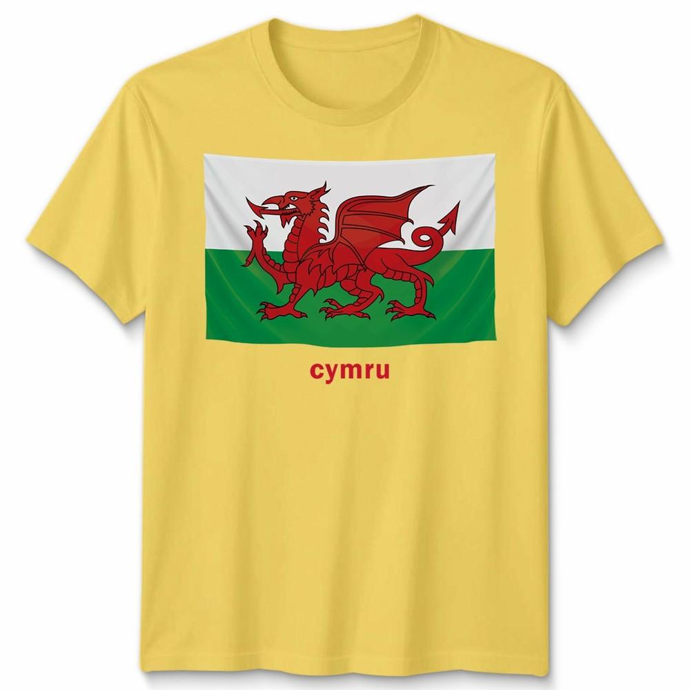 Wales Cymru Welsh Flag Unisex Tshirt Patriotic Welsh Pride Apparel