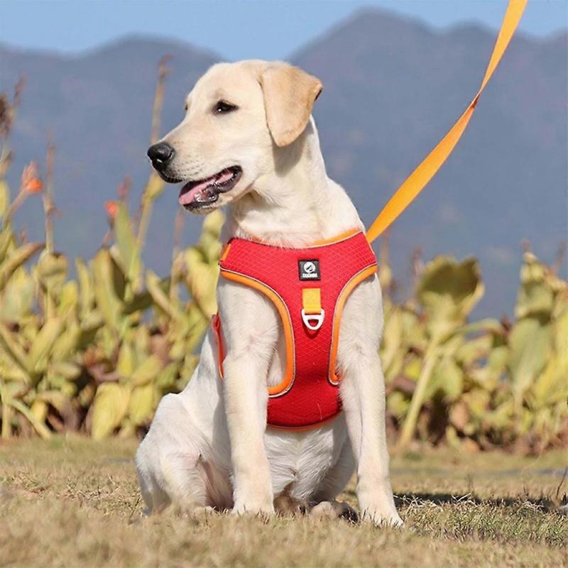 Cat Dog Traction Rope Breathable Vest Type Anti-break Free Pet Chest Strap
