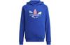 Originals Sweatshirt ADICOLOR Kids' H14154