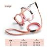 Little Bee Cat & Small Dog Harness and Leash Set