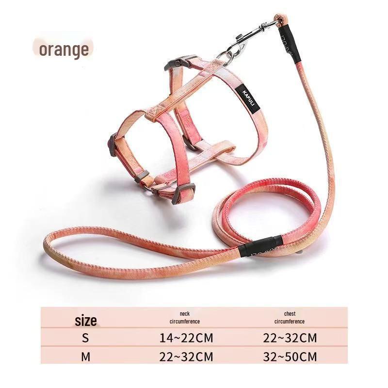 Little Bee Cat & Small Dog Harness and Leash Set