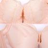Sexy Bras for Women Lace Plus Size E Cup Thin Bra Adjustable Gather Steel Ring Sensual Lingerie Push Up Bra Fancy Underwear