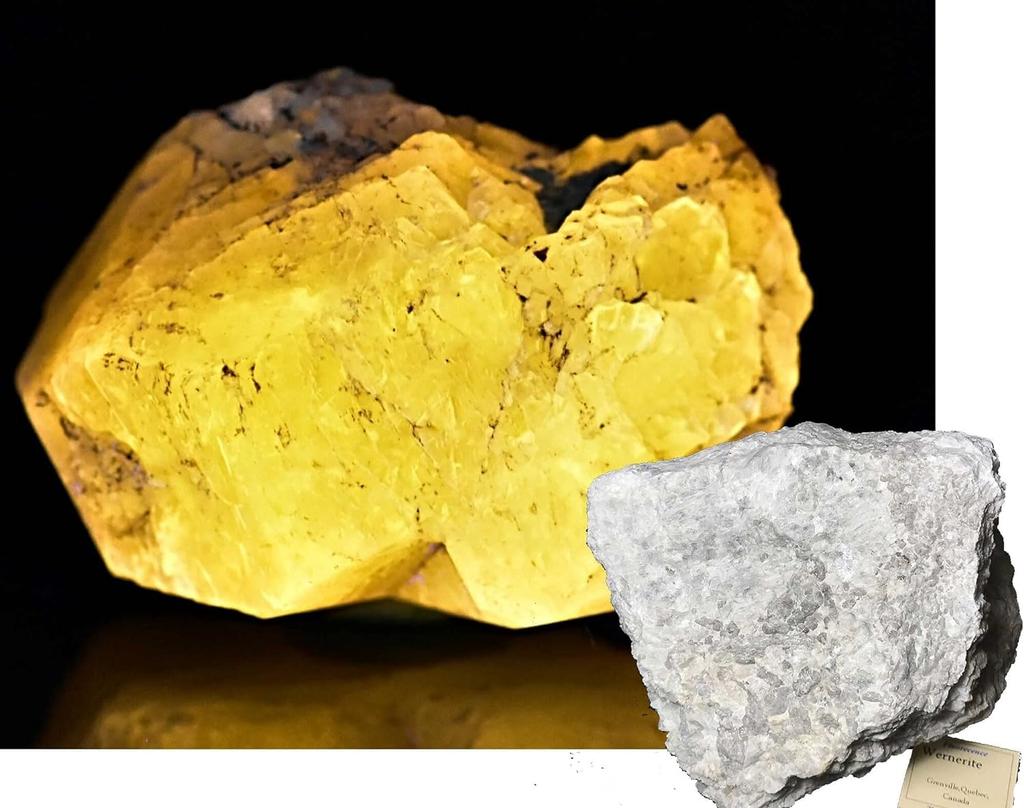 SCIENCE Fluorescent Mineral Specimens 6 Types Long Wave Long Butterfly Fluorescent Minerals Set of 6 Types Separate Plastic Case (L.W./Longwave, Wave)