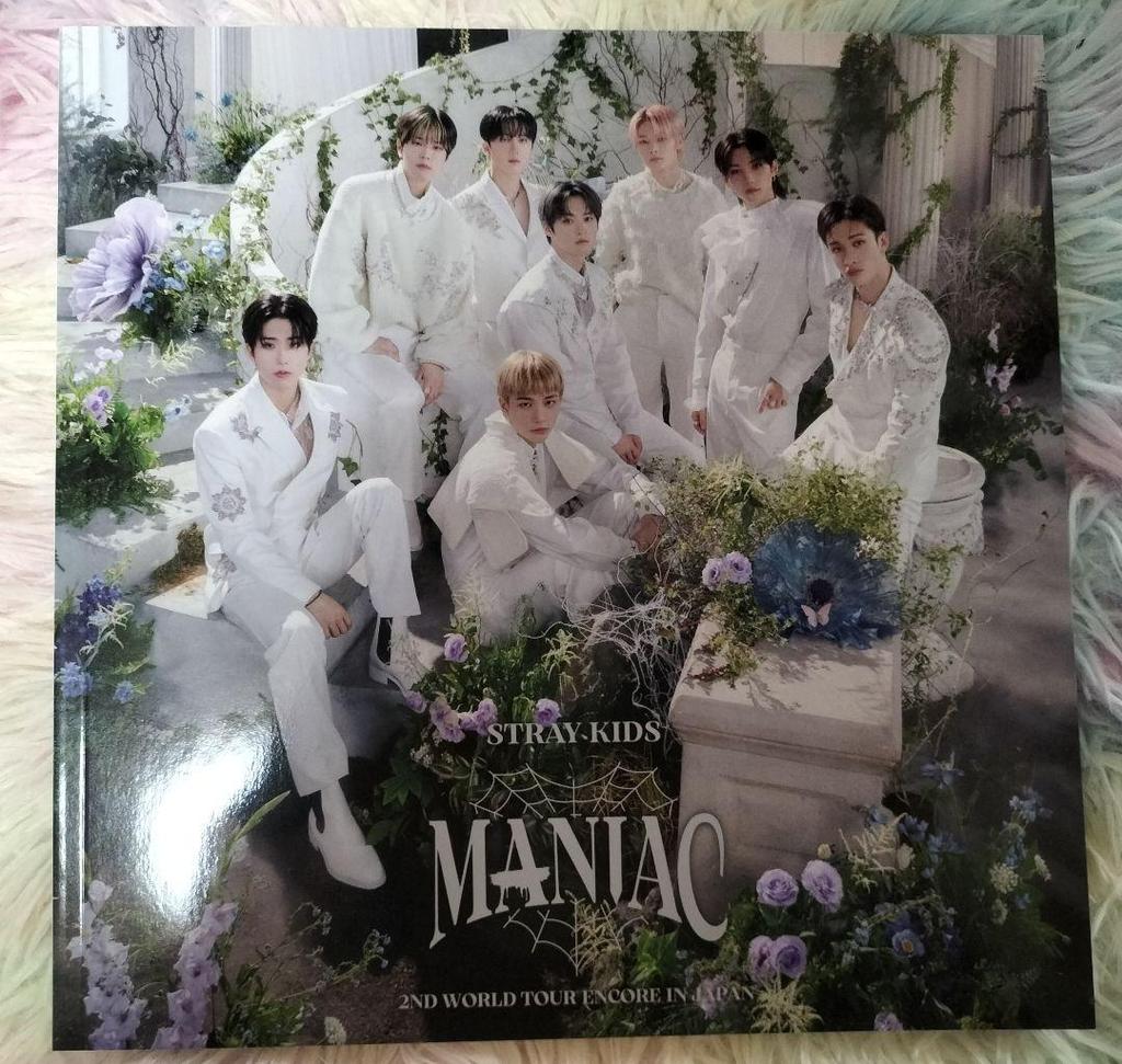 [USED] StrayKids 2nd Waltz "MANIAC" Uncon Pamphlet Photobook