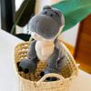 Dinosaur Brothers Doll Plush Toy Simulation Cute Tyrannosaurus Rex Doll Children's Doll