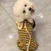 Pet Spring Autumn Striped Jumpsuit Prevent Cold Dog Belly Protection Coat for Small Dog Four Legged Coat Pet Pajama PuppyClothes