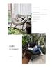 Bird's Nest Recliner: Rocking Leisure Chair and Lazy Sofa for Balcony or Home Use.