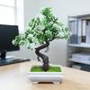 Árvore Bonsai Artificial Pequena para Interior Plantas Falsas com Vaso de Resina para Casa Escritório Mesa Estante Banheiro Quarto Sala de Estar Decoração