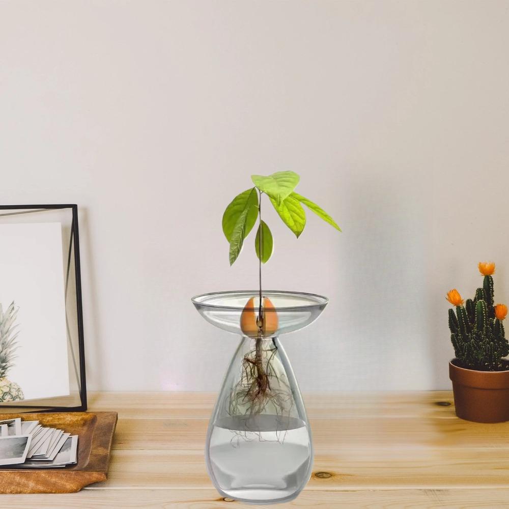 Creative Transparent Long Oval Avocado Hydroponic Vase Avocado Seeds Hydroponic Vessel Flower Pot for Gardening Home Decor