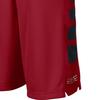 Nike Color Block Quick-Dry Sports Shorts Kids shorts Red 546649-673