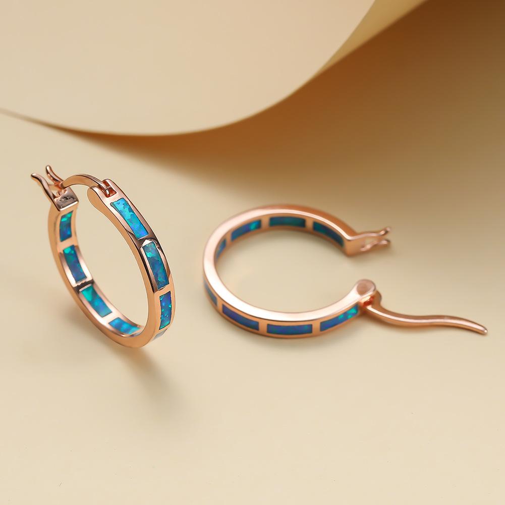 Shine hot-selling new simple earrings with diamonds, personalized temperament earrings, high-end design jewelry