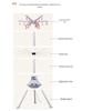 Conweiqi Round Clothes Dryer: Quick-Dry Warm Air Household Wardrobe Dryer with Free Shipping