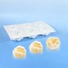 6 Cavity Mangosteen Silicone Molds Heat-Resistant Dessert Mold Mousse Cake Mold  Kitchen Bakeware