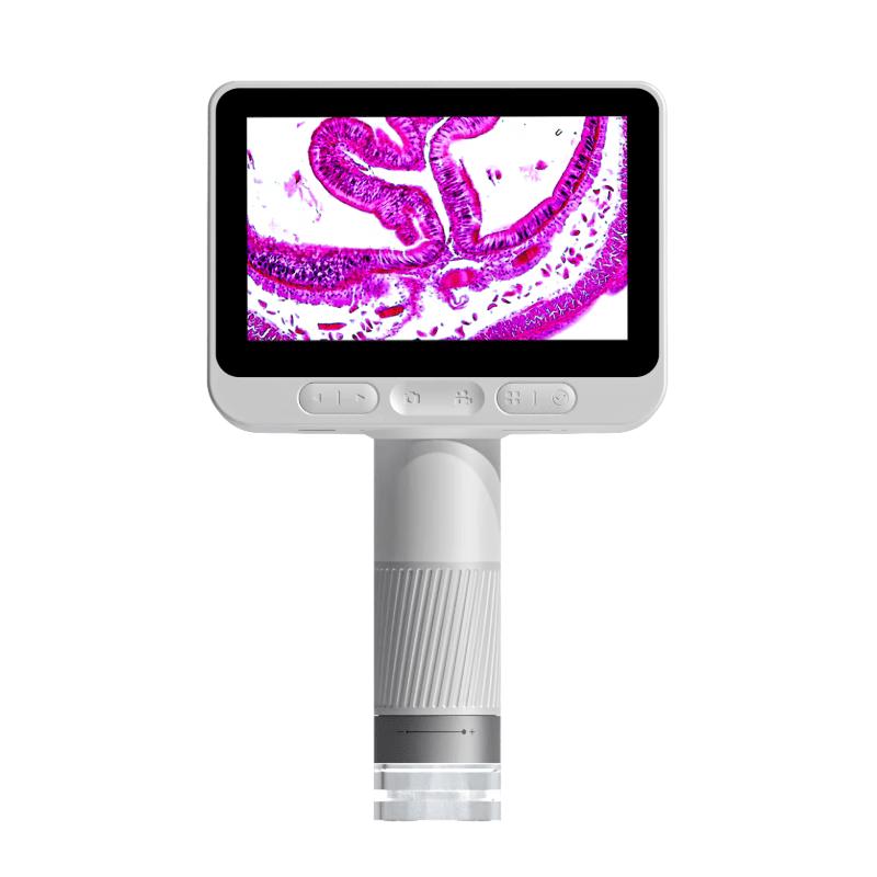 Dangdangli Kids Portable Digital Microscope