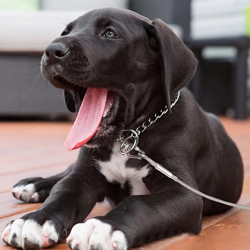 Double-headed Dog Tie Out Cable Leash ,raction Rope with Metal Buckle Steel Wire Anti-rust Training Collar,Outdoor Dogs Strap