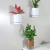 Self-Adhesive Wall Mounted Planter Plastic Wall Hanging Vase Hydroponic Wall Planter  For Home