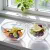 Bol de Vidrio de Doble Capa Transparente Resistente al Calor 300ml 500ml Cristalería de Cocina Bol para Servir Ensalada de Frutas Uso Diario Vajilla de Cocina