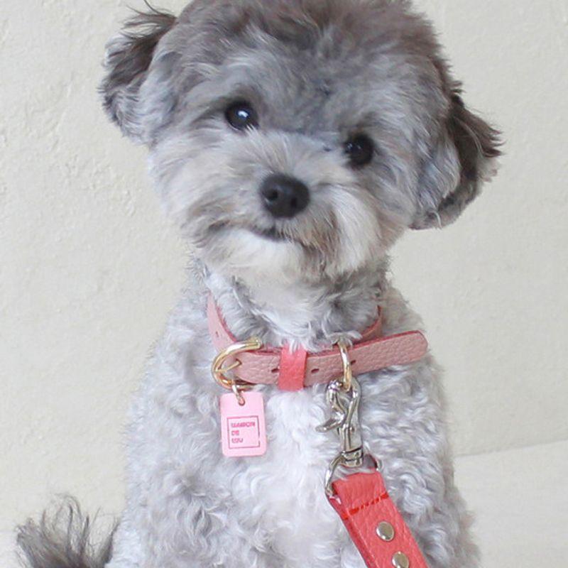 MAISON DE MIU Petsnal Color Leine Pink/Koralle